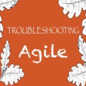 troubleshooting-agile